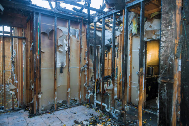 Professional Structural Rebuild technician working in Alva, FL